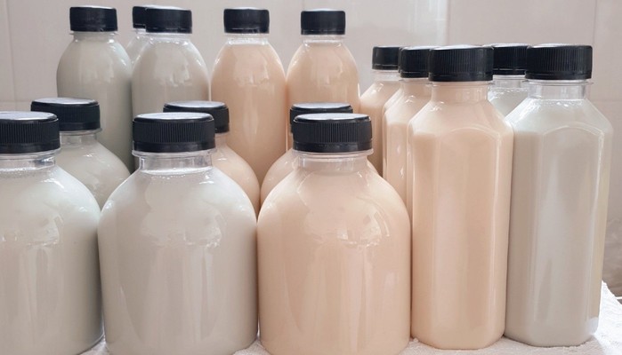 Sữa Hạt Nhớ - Trần Đình Xu