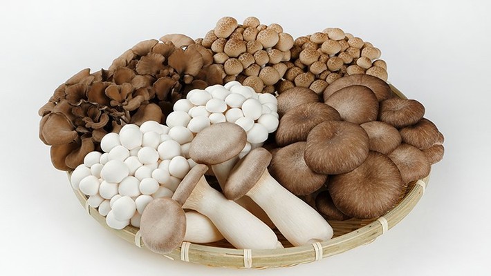 Vựa Nấm Tươi - Ba Mươi Tháng Tư