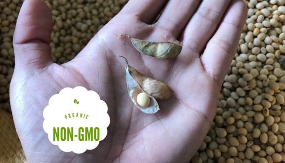 Vườn Ông Kao - Tempe Chay Ngon Lành