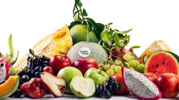 G'Fresh - Fruits & Vegetables