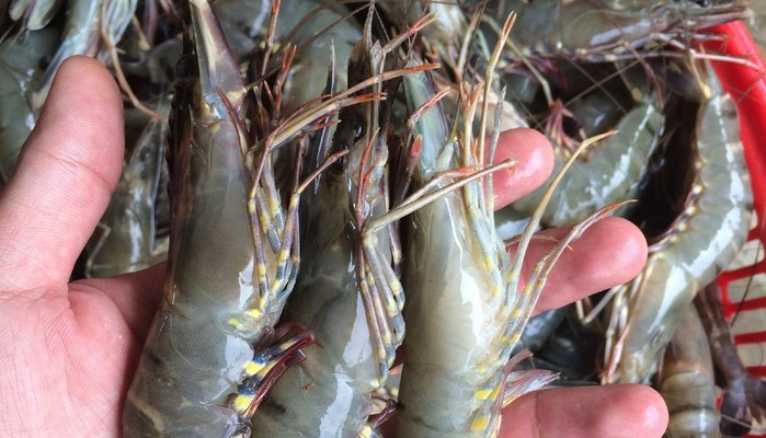 Thanh Xuân Quán - Các Loại Chả & Trái Cây Tươi - Đường Số 79