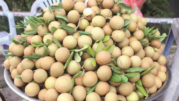 Shop Rau Nguyên Hương - Bình Giã