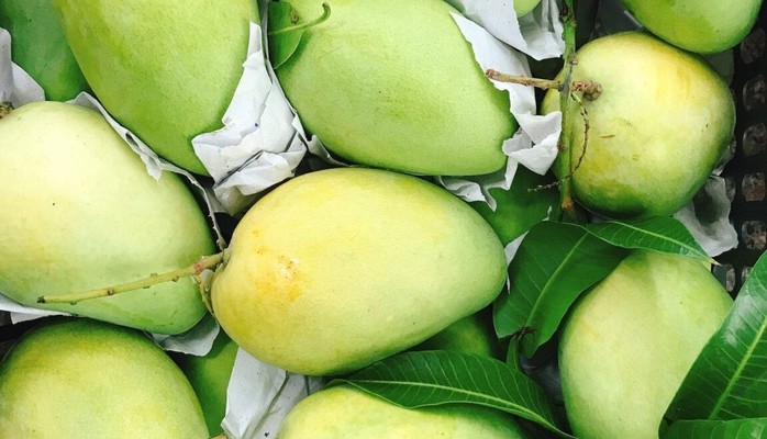 Trái Cây Sạch & Nước Ép Tươi Bắc Nam HN - Trung Kính