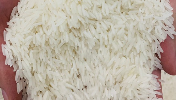 Gạo Ngon Bách Khoa - Đỗ Thuận