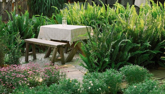 Tiệm Cà Phê Bông - Trà Hoa Quả - Sài Đồng