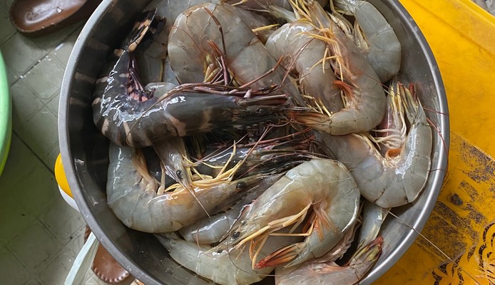 Hiếu - Hải Sản Tươi Sống - Bình Giã