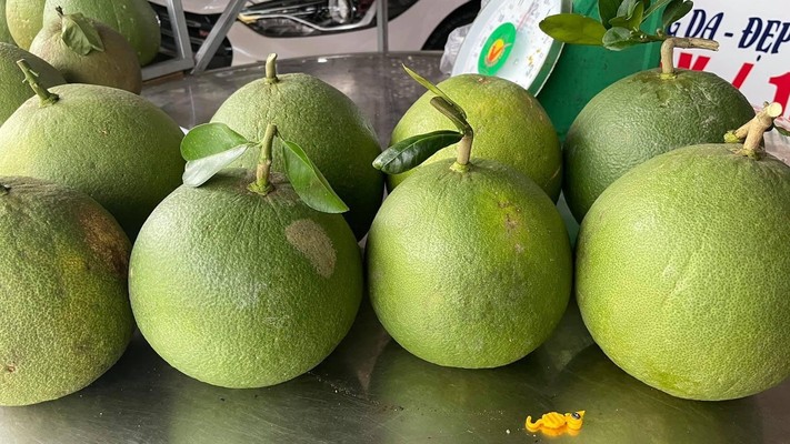 Bưởi Tân Triều - Phạm Văn Thuận