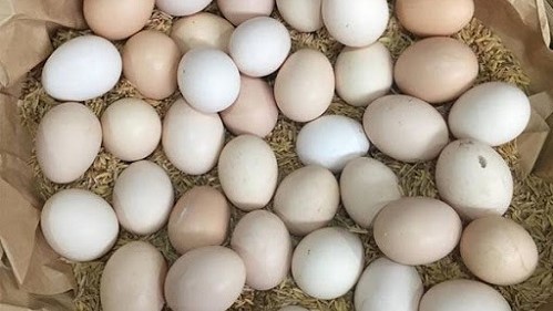 Chợ Nhà Coca - Thực Phẩm & Rau Củ