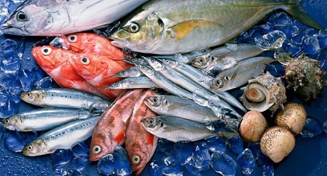 Thế Giới Hải Sản Tươi Sống Quang Nghĩa - Trần Phú