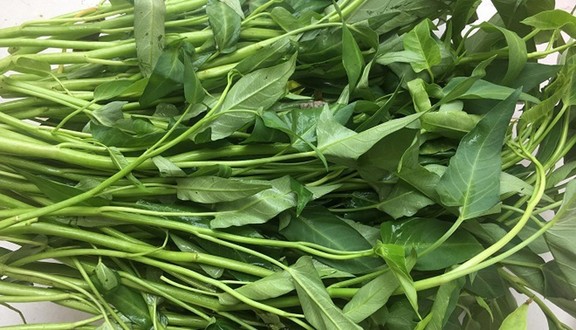 Thực Phẩm Sạch Tân Liên Hoa - Phúc Tân