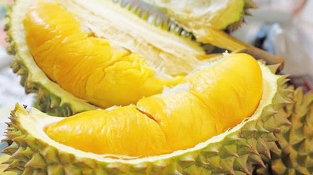 Nhà Vườn Hùng Dưỡng - Vựa Sầu Riêng - Nguyễn Văn Cừ