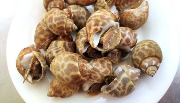 Thực Phẩm Wingcha - Hồng Bàng