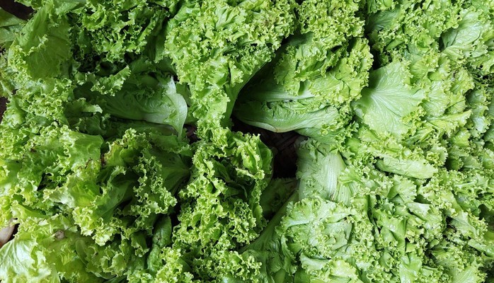 Thanh Vy - Rau Củ Quả & Thực Phẩm Chế Biến Sẵn