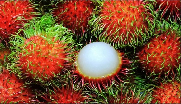 Trái Cây Củ Quả Tươi Sống Phúc Nguyên - Nguyễn Hữu Thọ