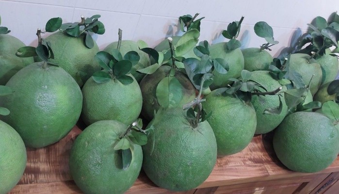 Anh Chín - Trái Cây Vườn Nhà - Trần Bình Trọng