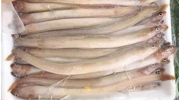 Hải Sản 68 - Hải Sản Côn Đảo Vũng Tàu - Nguyễn Thiện Thuật