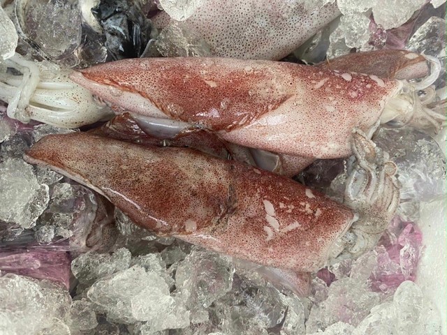 Thanh Dương - Thực Phẩm Tươi Sống - Nguyễn Thiện Thuật