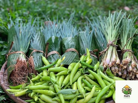 M&D' S Farm - Thái Phiên