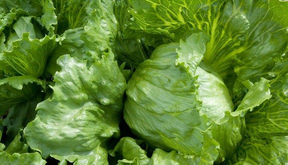 Mỡ Mỡ - Rau Củ Quả Tươi