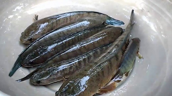 Cửa Hàng Thiên Phú - Thực Phẩm Tươi Sống - Đường Hiệp Bình