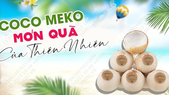 Dừa Trọc Coco Meko