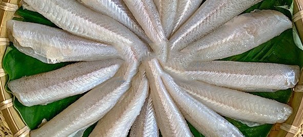Hải Sản - Thực Phẩm Sạch Ý Linh