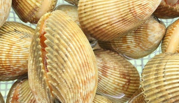 Quán Ốc Tài 2 - Lê Văn Quới