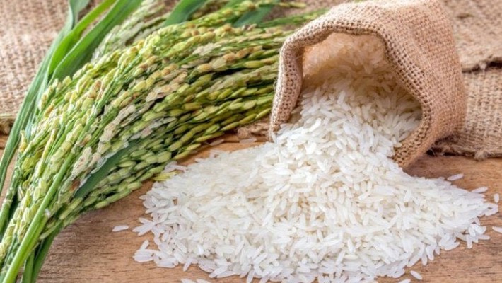 Tổng Kho Tây Bắc Việt - Lê Trọng Tấn