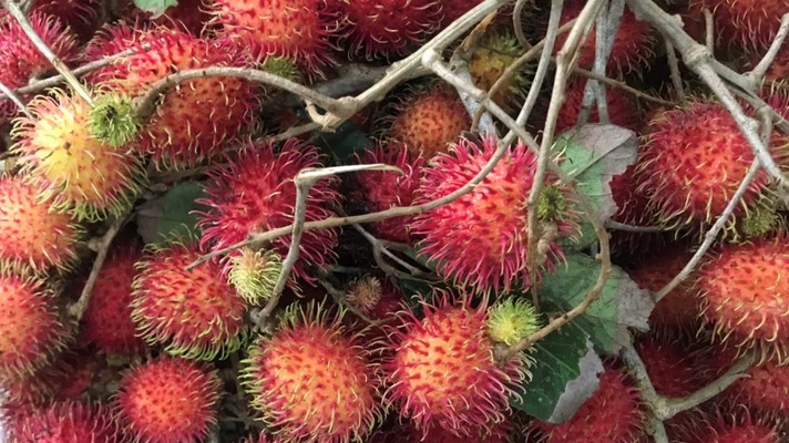 Trái Cây Yến - Nguyễn Văn Linh