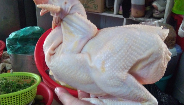 Gà Ta & Vịt Tươi Sống Tam Kỳ 18 - Bùi Văn Hòa