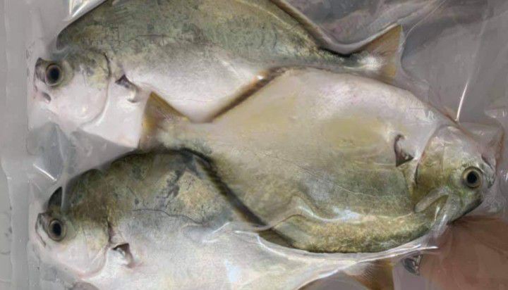 Bếp Nhà Ken - Thực Phẩm Đông Lạnh - Bầu Trâm