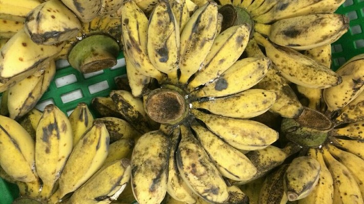 Trái Cây Miền Tây Bến Tre Deli - An Phú Đông 3