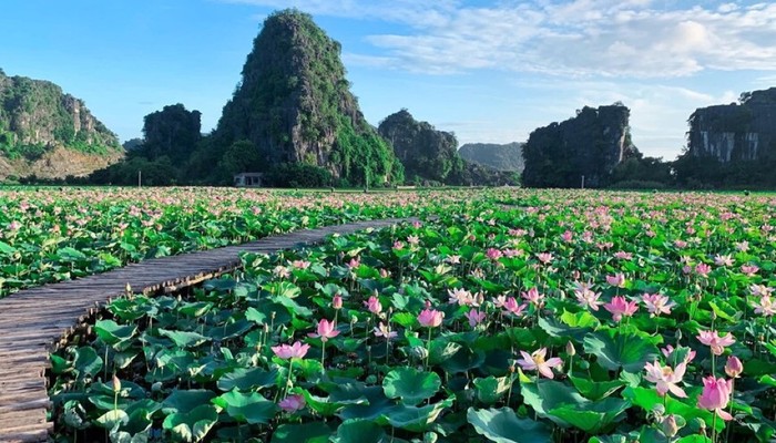 Cửa Hàng Hạt Sen Organic S503 - Nguyễn Xiển
