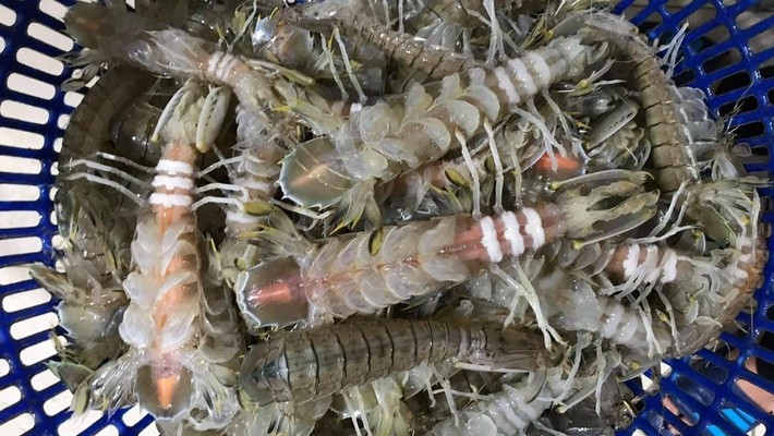 Ốc Ngon Quán - Hải Sản Tươi Ngon