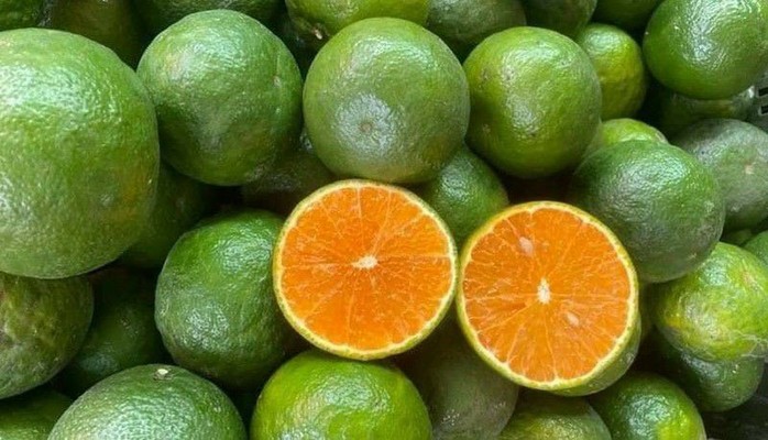 Vườn Nhà Mart - Hà Bổng
