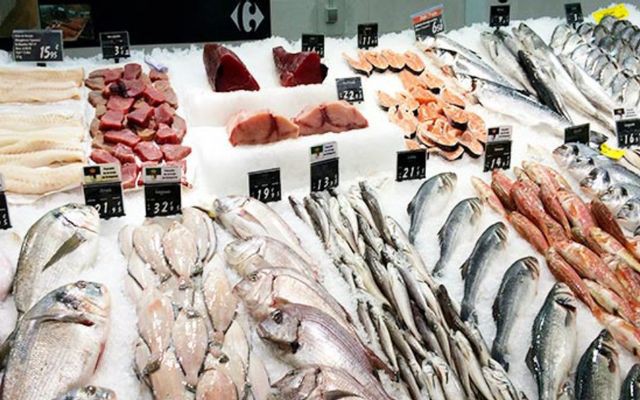 Cá Tươi Cấp Đông Đà Nẵng - Phạm Tứ