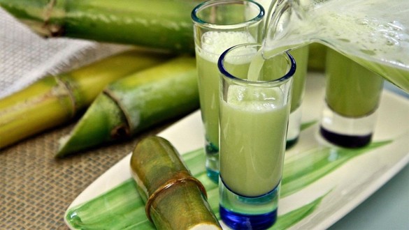 Cốt Dừa Quán - Nguyễn Thái Sơn