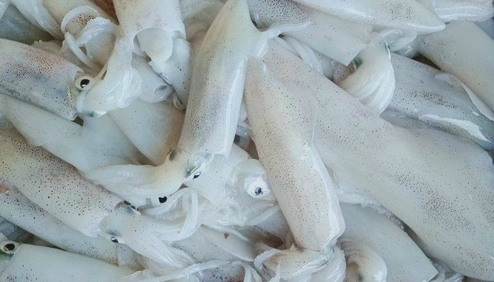 Hồng Cẩm Food - Thực Phẩm Tươi Sống - Ấp 3