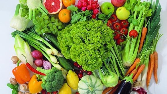 Rodeo - Thực Phẩm Khô