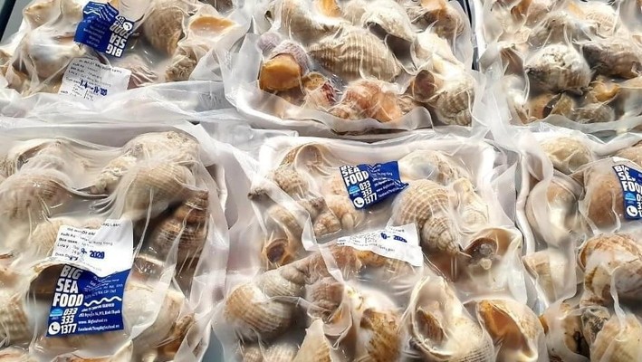 DaLat BIG SeaFood - Hải Sản Tươi Sống Thượng Hạng - Đào Duy Từ