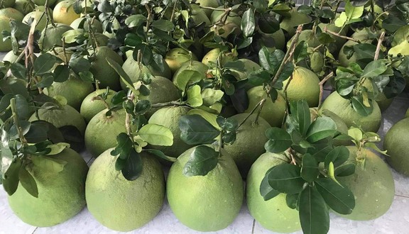 Vivi Fruit - Lê Văn Sỹ