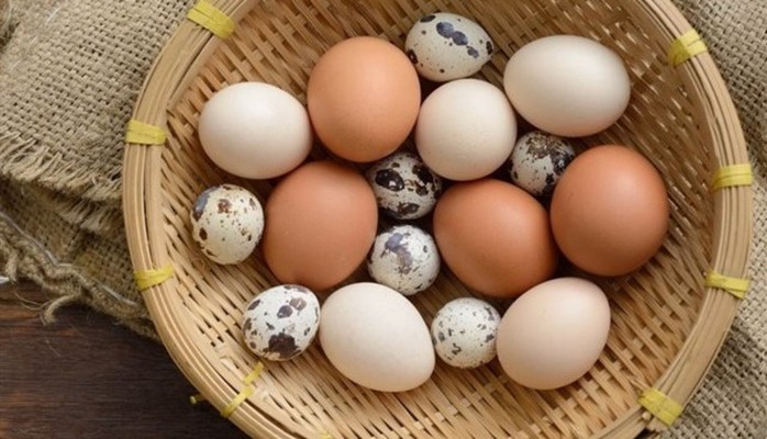 Trứng Gia Cầm & Bánh Tráng - Quỳnh Như