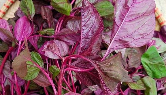 Thực Phẩm Sạch Minh Hoàng - Đội Cấn