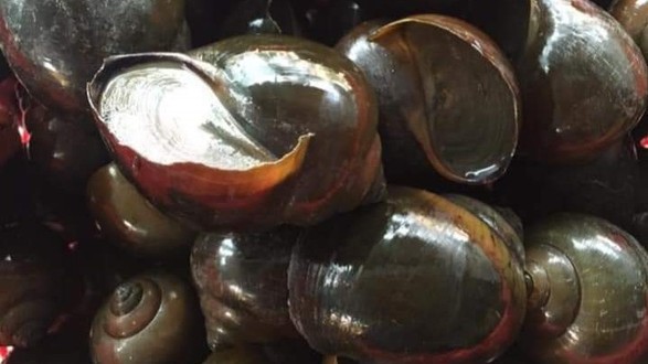 Thực Phẩm Hoài Thơ - Khu Phố 4