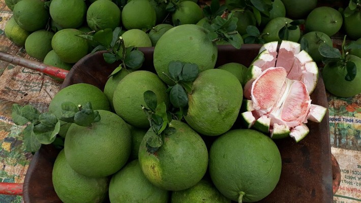 Tiệm Bưởi Da Xanh Nghệ An - Hàm Nghi - Shop Online