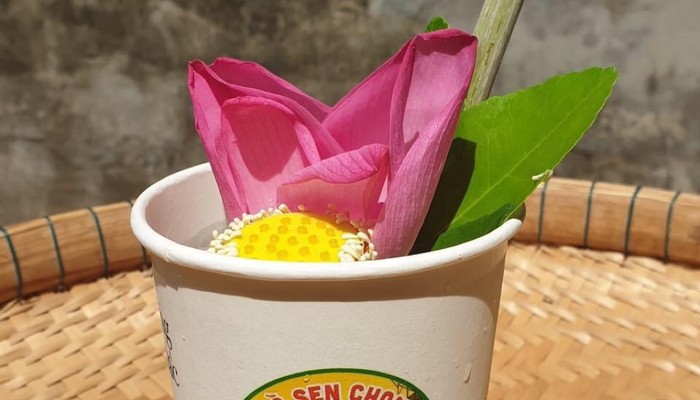 Mộc Fruits - Trái Cây Tươi Ngon