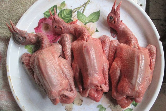 D'Foods - Gà Ác & Bồ Câu Ra Ràng Làm Sạch