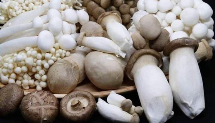 Cửa Hàng Nấm Tươi Nguyệt Cát - Dương Quảng Hàm