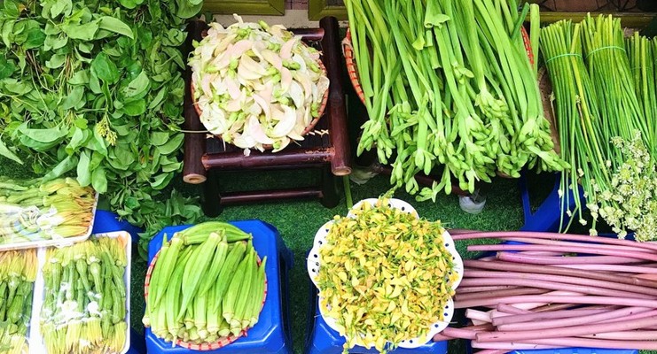 DiMi Chợ Tây Nam Bộ - Lẩu Cá Kèo Rau Đắng Bông Súng Lá Giang - Phạm Văn Đồng
