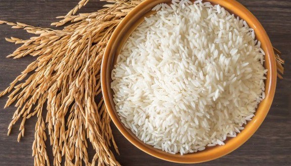 Tiến Gạo - Gạo Ngon Nhiều Loại